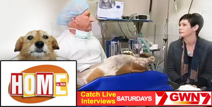 Dr Gary Hanly Interview 5th July Dr Gary Hanly Interview 5th July