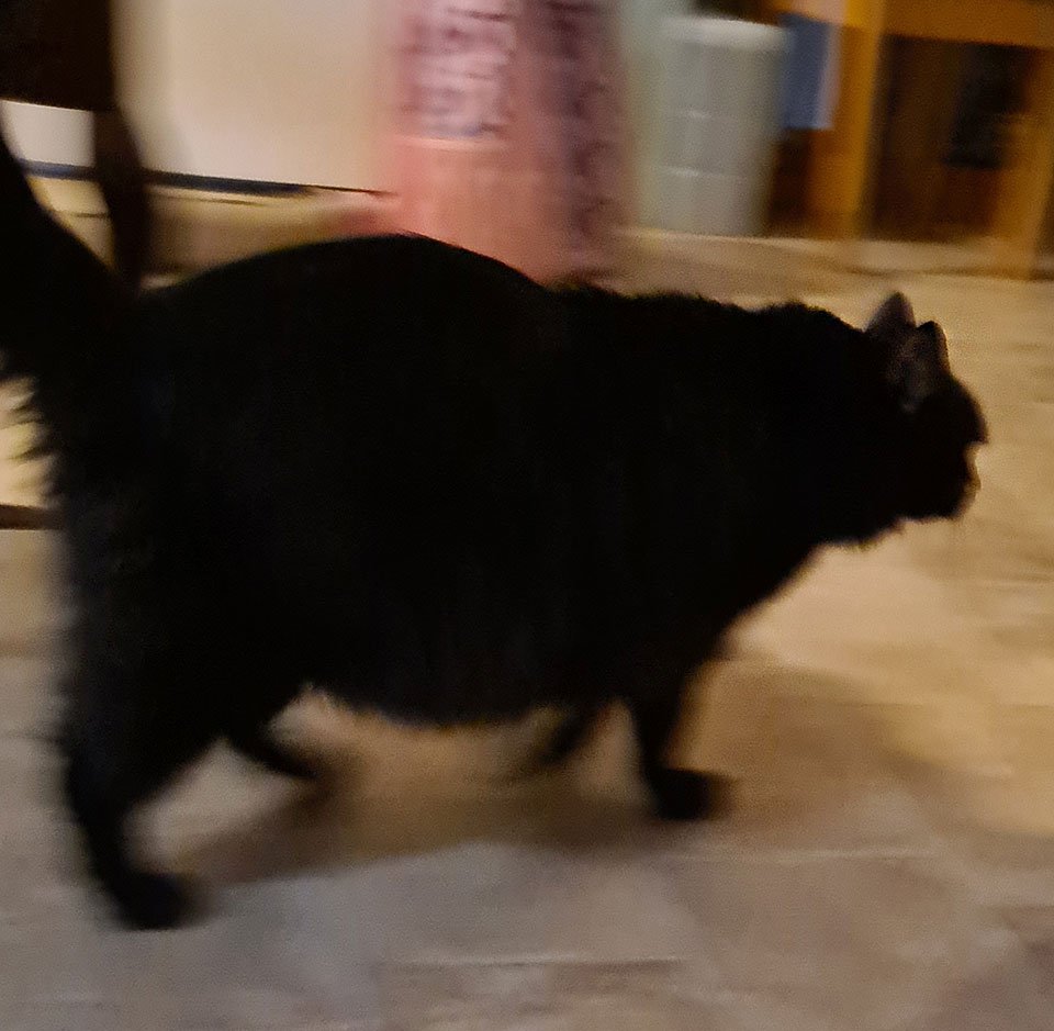 20210128_192134